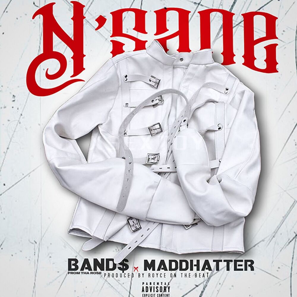 Picture of N' Sane (feat. Maddhatter)