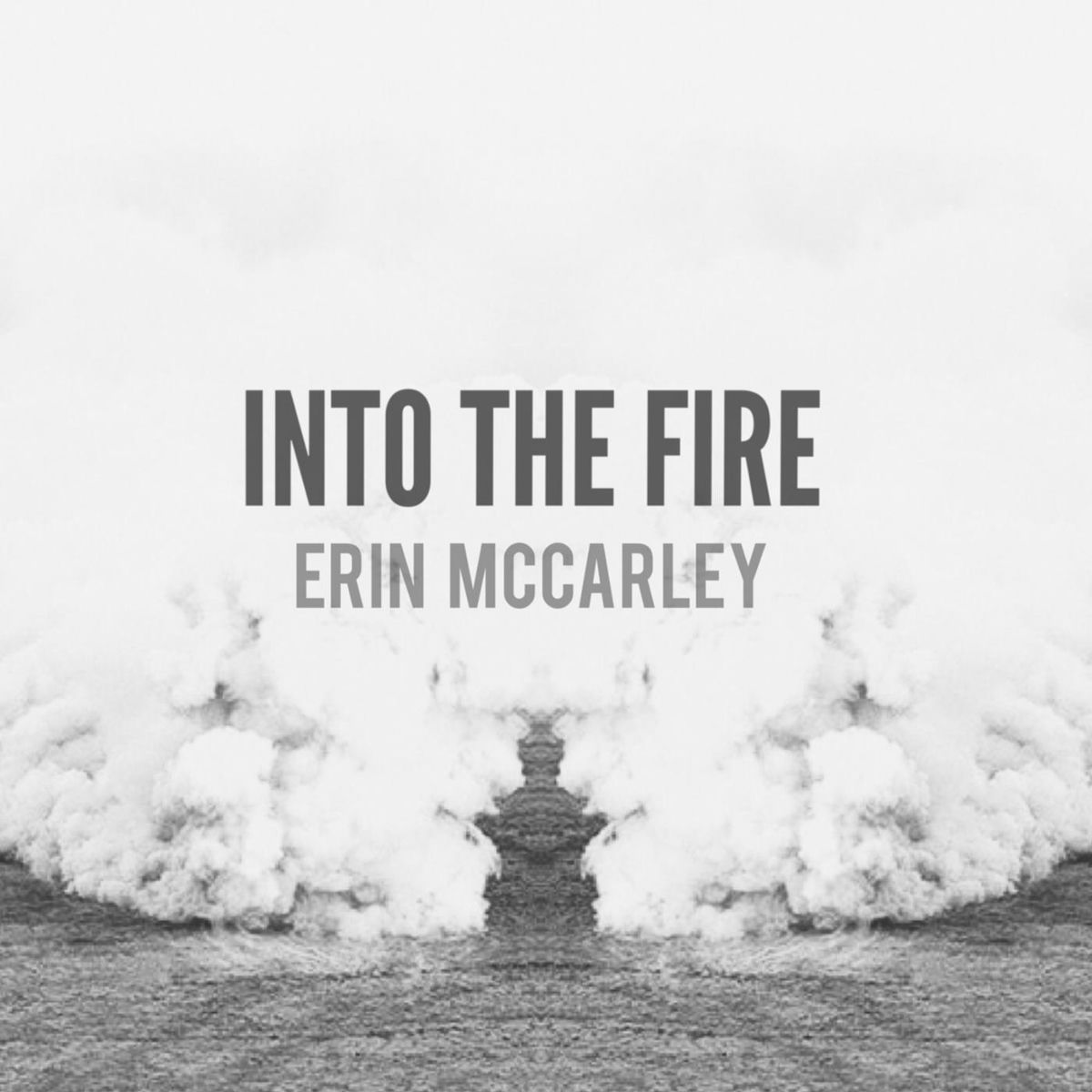 Album cover of Into the Fire