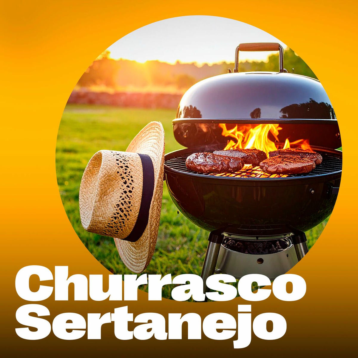 Album cover of Churrasco Sertanejo - Músicas pra Curtir com a Galera