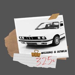 Cover of 325c