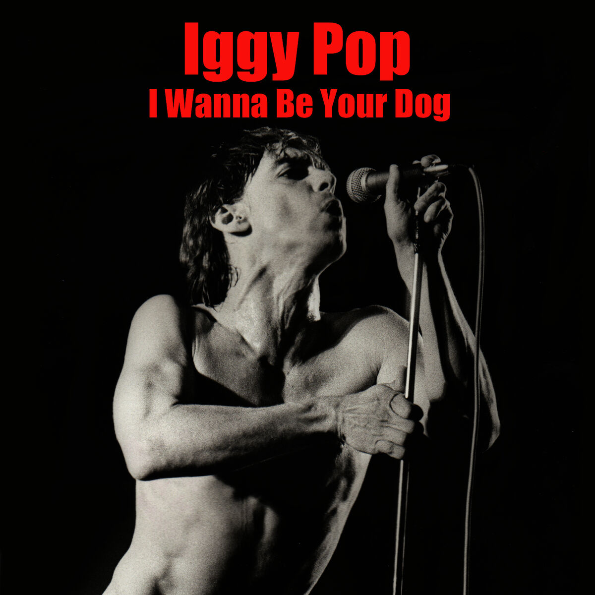 Album cover of I Wanna Be Your Dog (Fast Version)