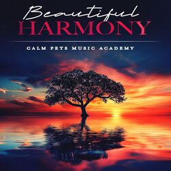 Cover of Beautiful Harmony