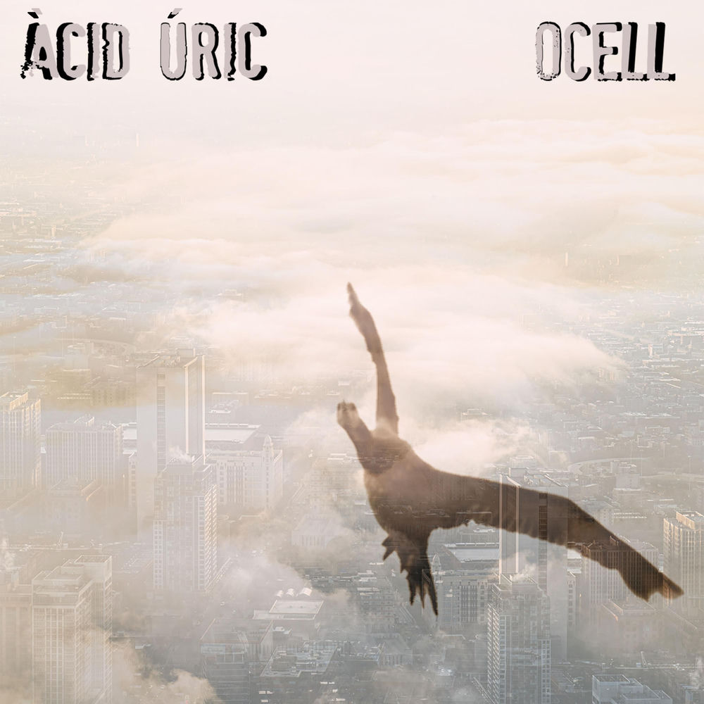 Portada de Ocell