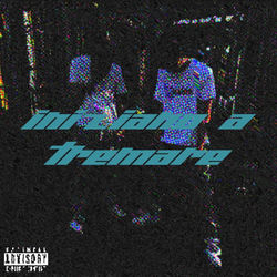Pochette album