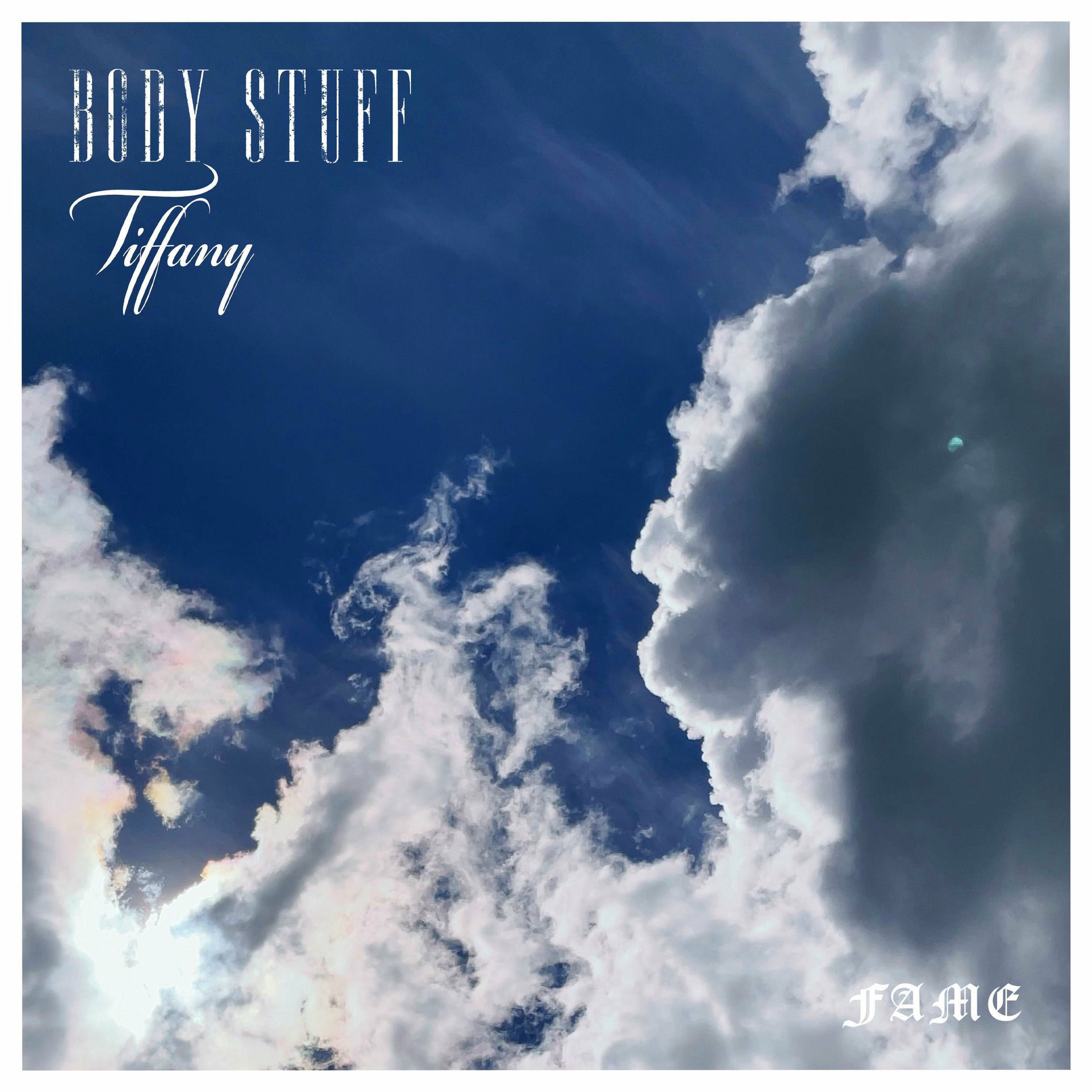 Album cover of Fame (feat. Tiffany)