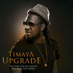 Cover of Upgrade