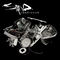 Outside (feat. Fred Durst) (Family Values Live Version)