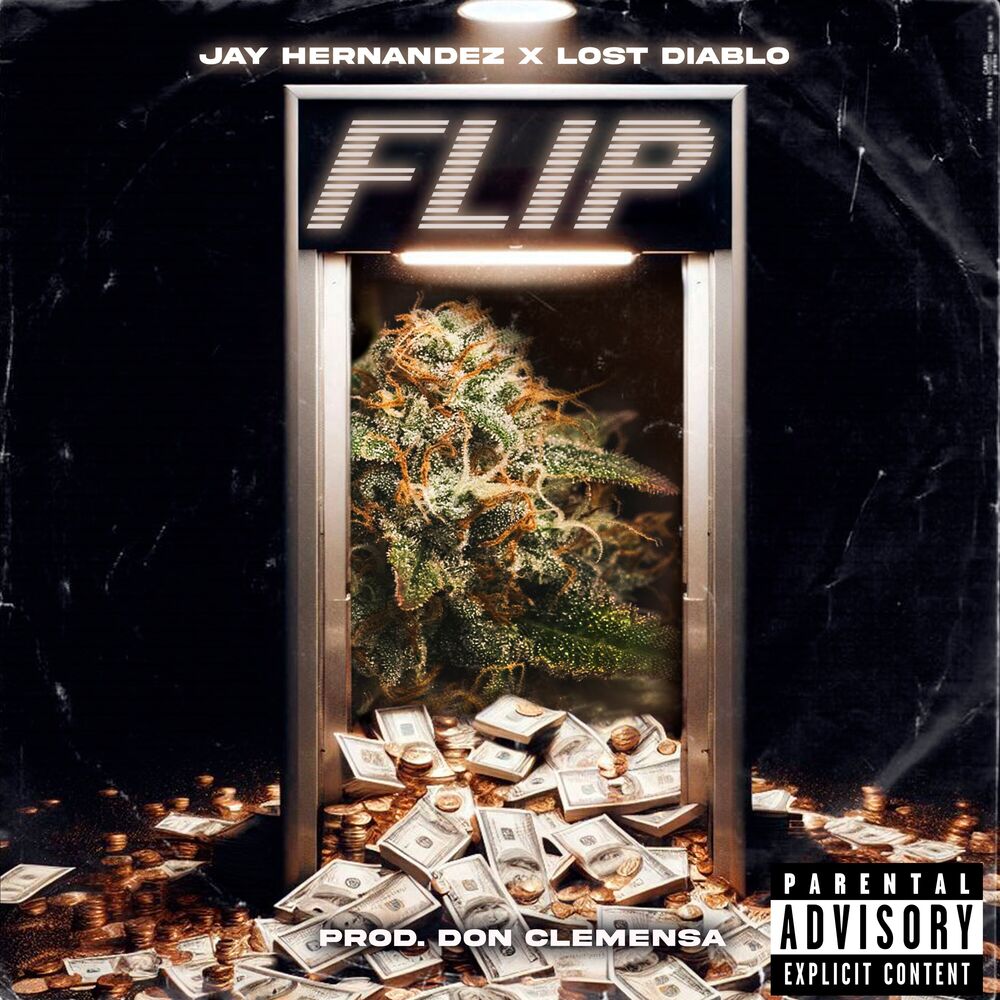 Picture of Flip