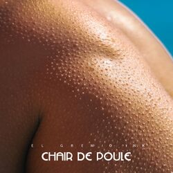 Cover of Chair De Poul