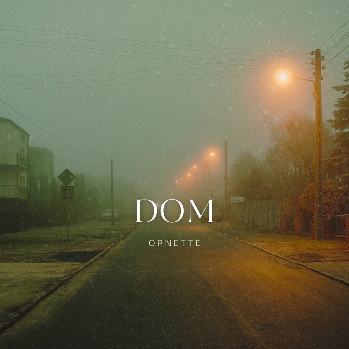 Album cover of DOM