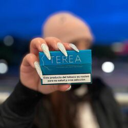 Cover of TEREA