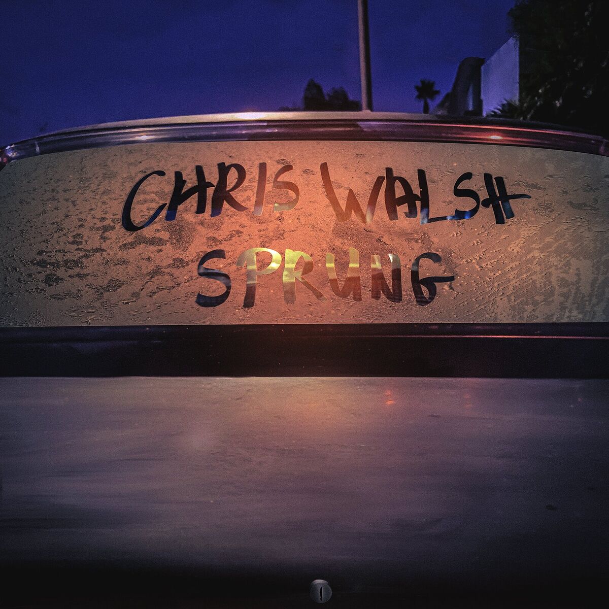 Album cover of Sprung