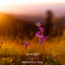 Cover of Bloom for You (Radio Edit)
