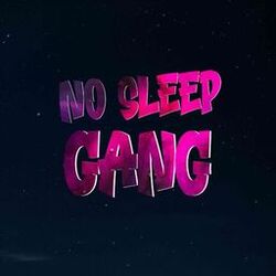 Cover of NO SLEEP GANG