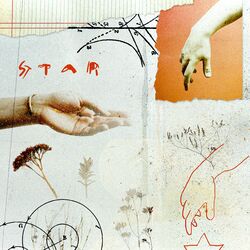 Cover of STAR