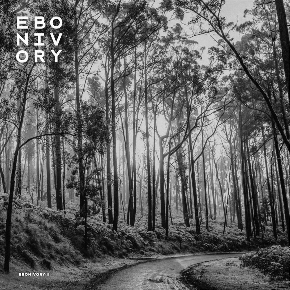 Picture of Ebonivory II