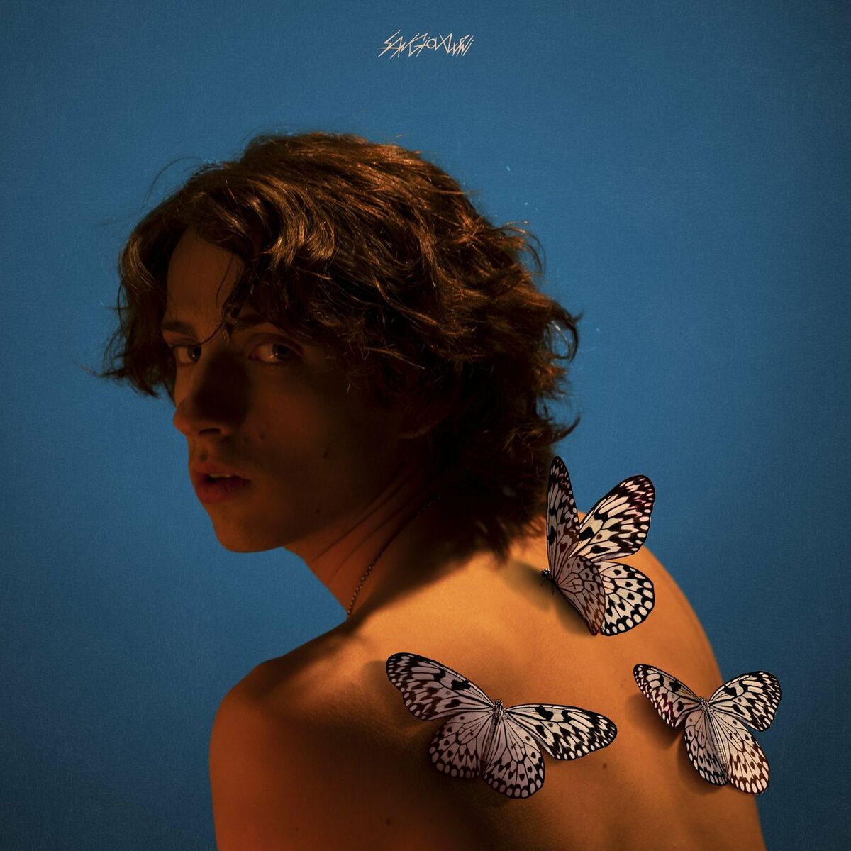 Album cover of farfalle