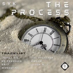 Cover of The Process