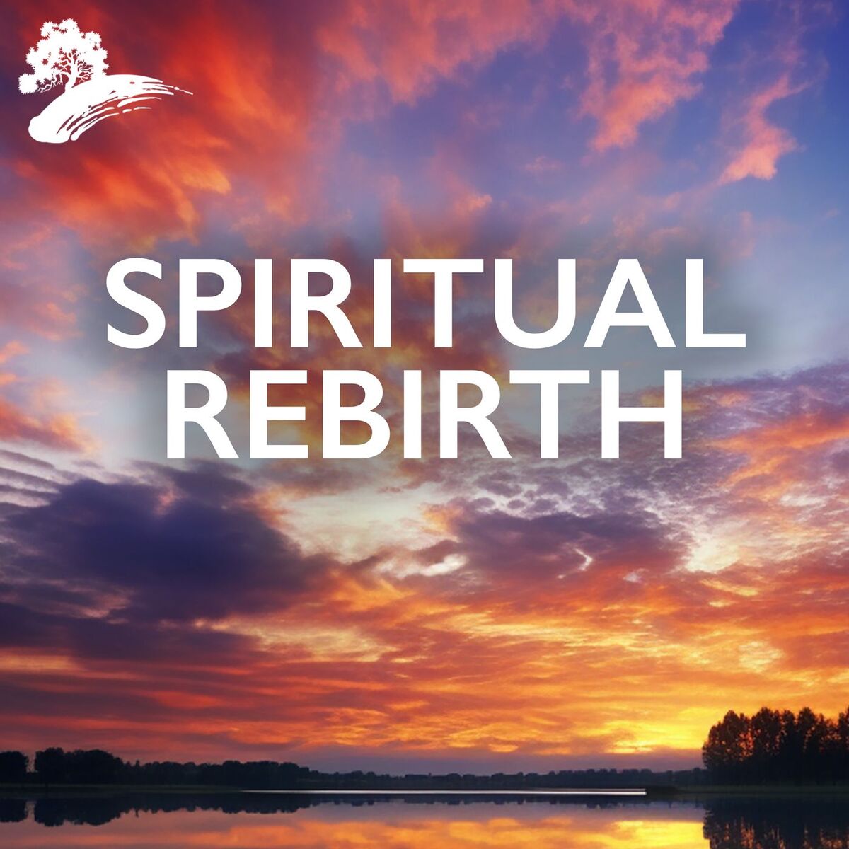 Album cover of Spiritual Rebirth