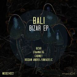 Cover of Bizar EP