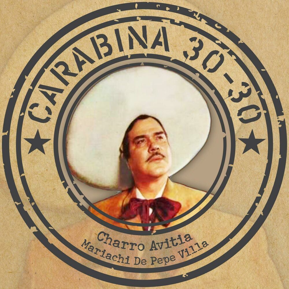 Picture of Carabina 30-30