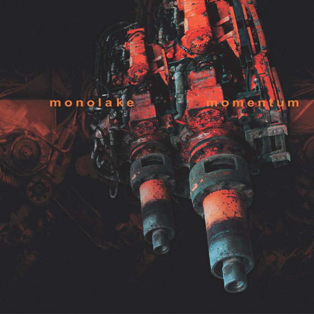 Picture of Momentum