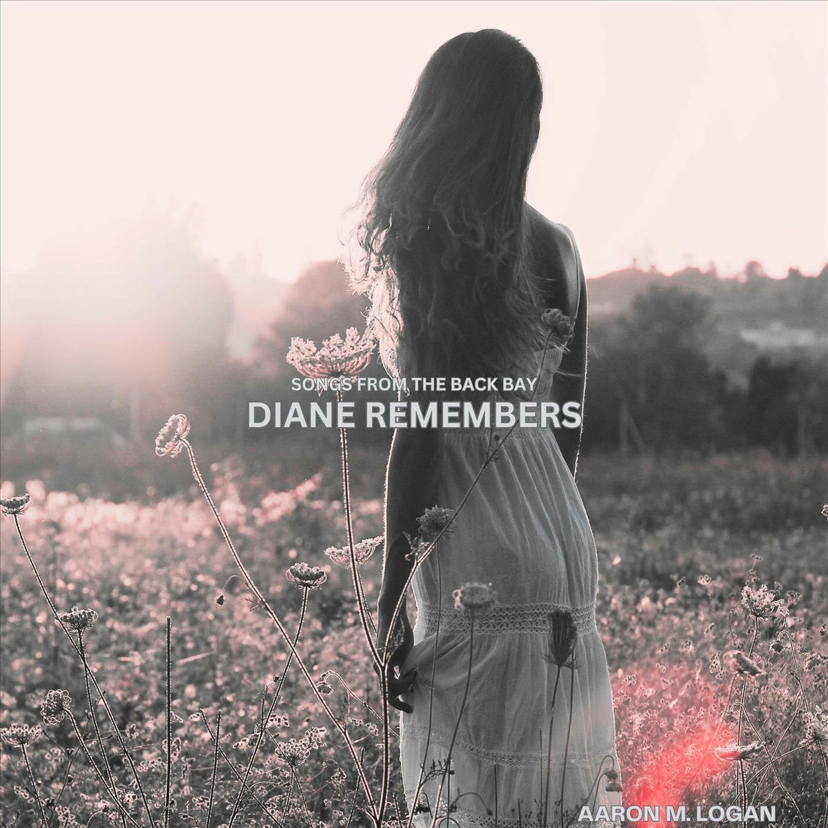 Album cover of Diane Remembers