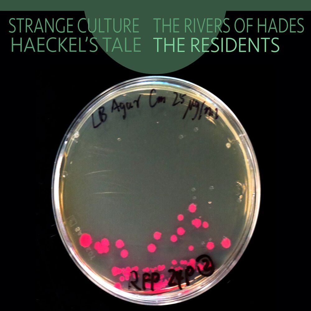 Picture of Strange Culture / Rivers of Hades