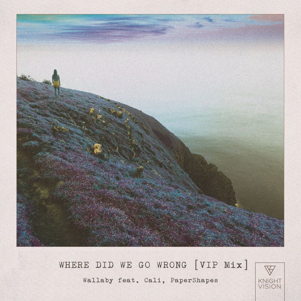 Picture of Where Did We Go Wrong (feat. Cali & PaperShapes) (VIP MIX)