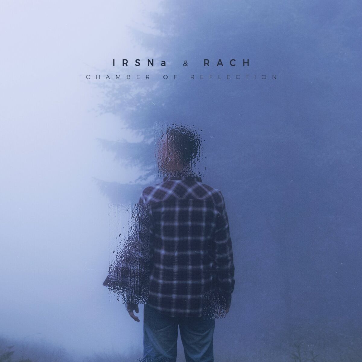 Album cover of Chamber Of Reflection
