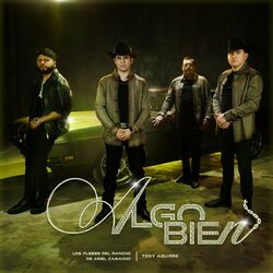 Cover of Algo Bien