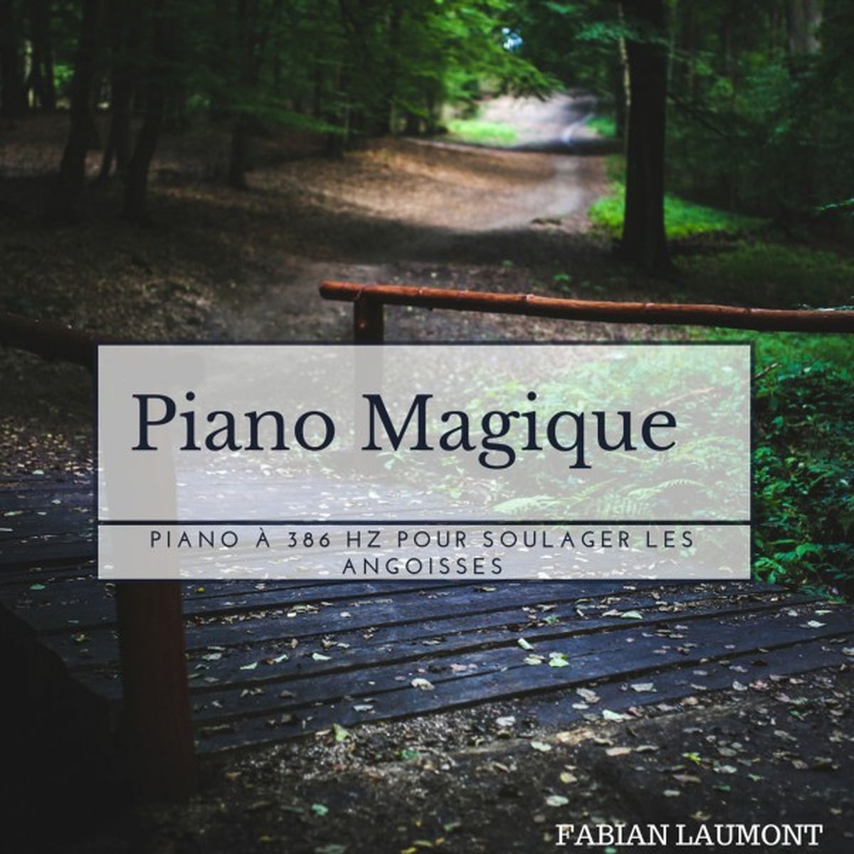 Album cover of Piano magique