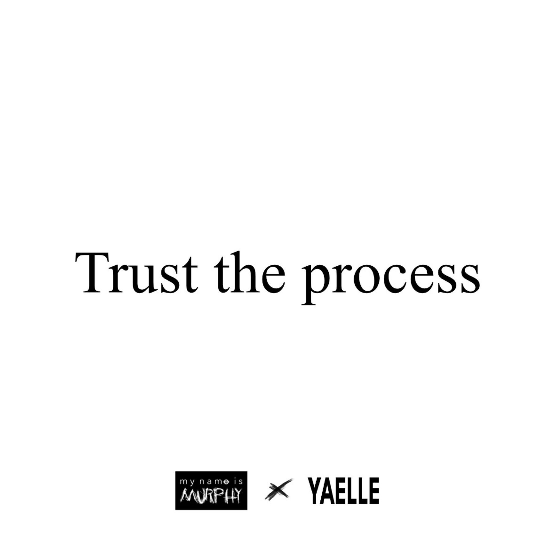 Album cover of Trust the process