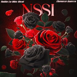 Cover of NSSI