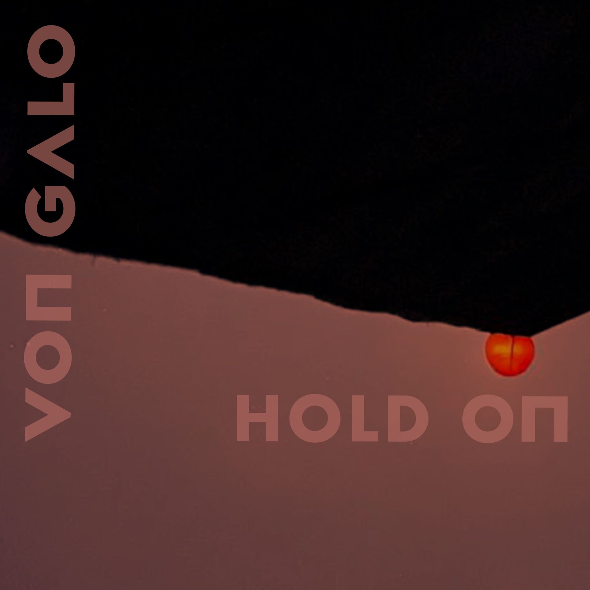 Album cover of Hold On