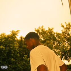 Cover of 29