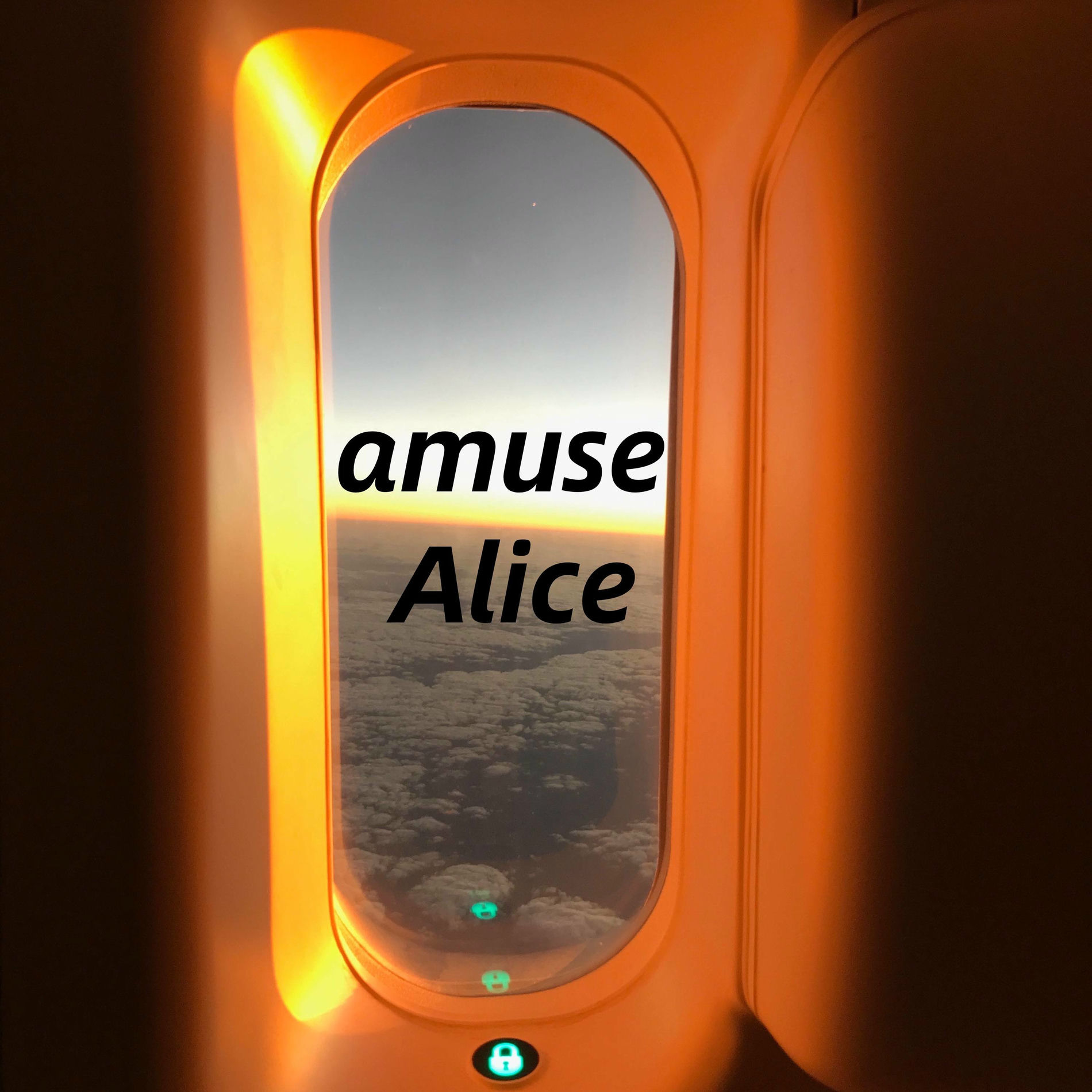 Album cover of amuse