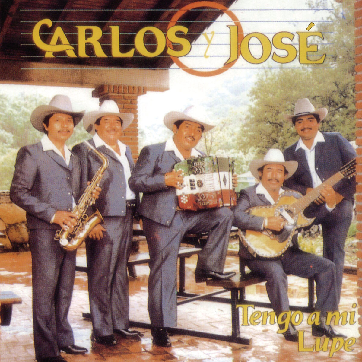 Album cover of Tengo A Mi Lupe