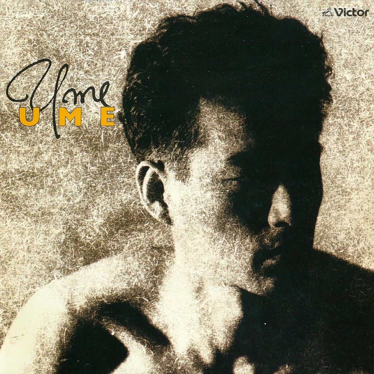 Album cover of UME