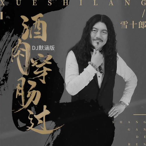 酒肉穿肠过(DJ默涵版)