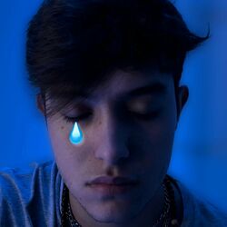 Cover of Fui Un Idiota