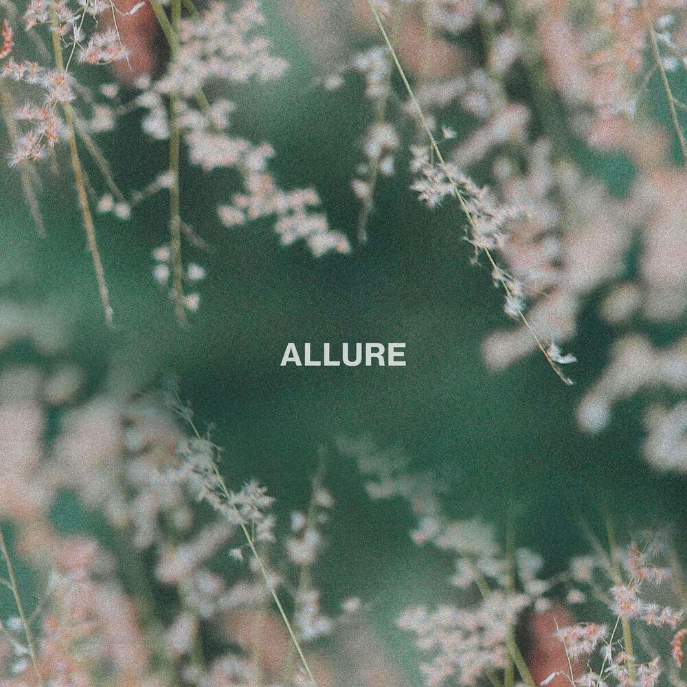Picture of Allure