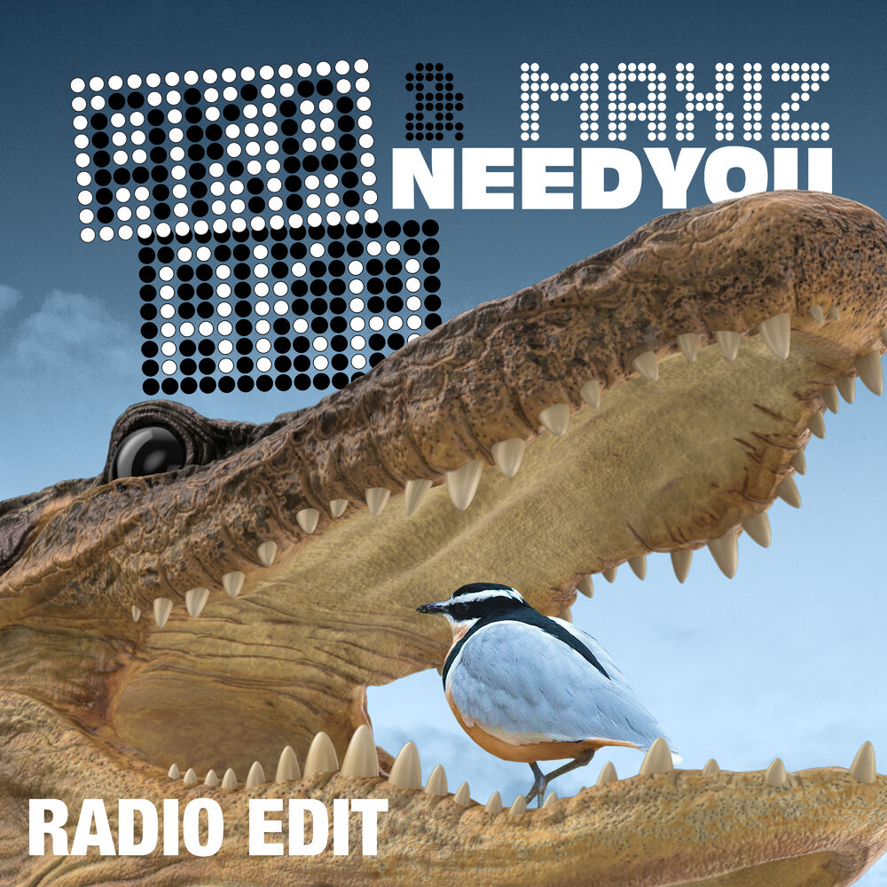 Picture of Need You (Radio Edit)