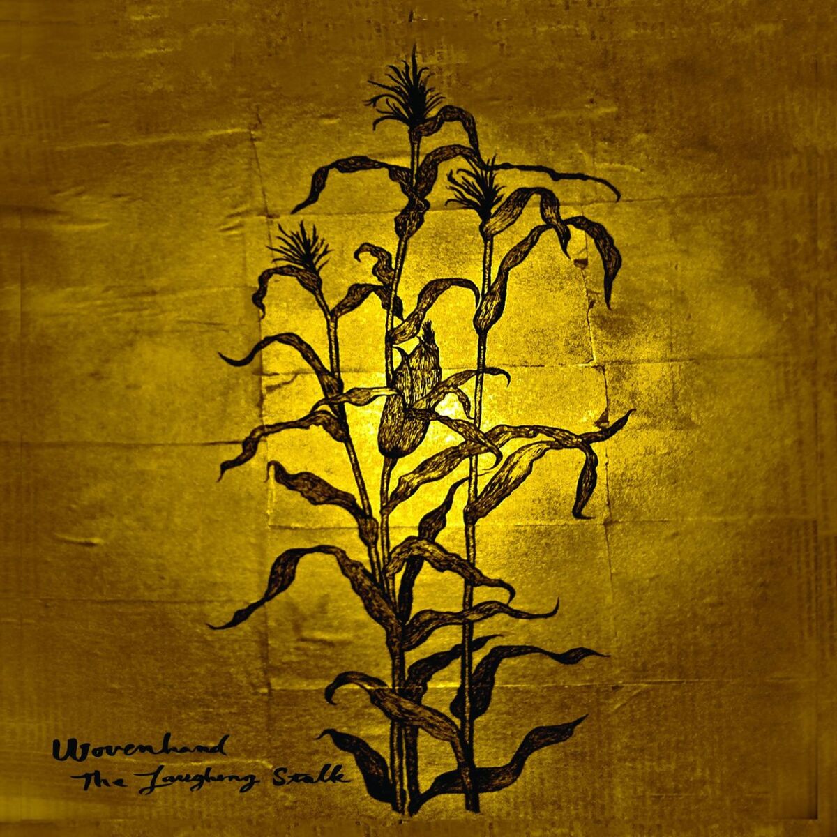 Album cover of Long Horn