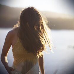Cover of Reverie