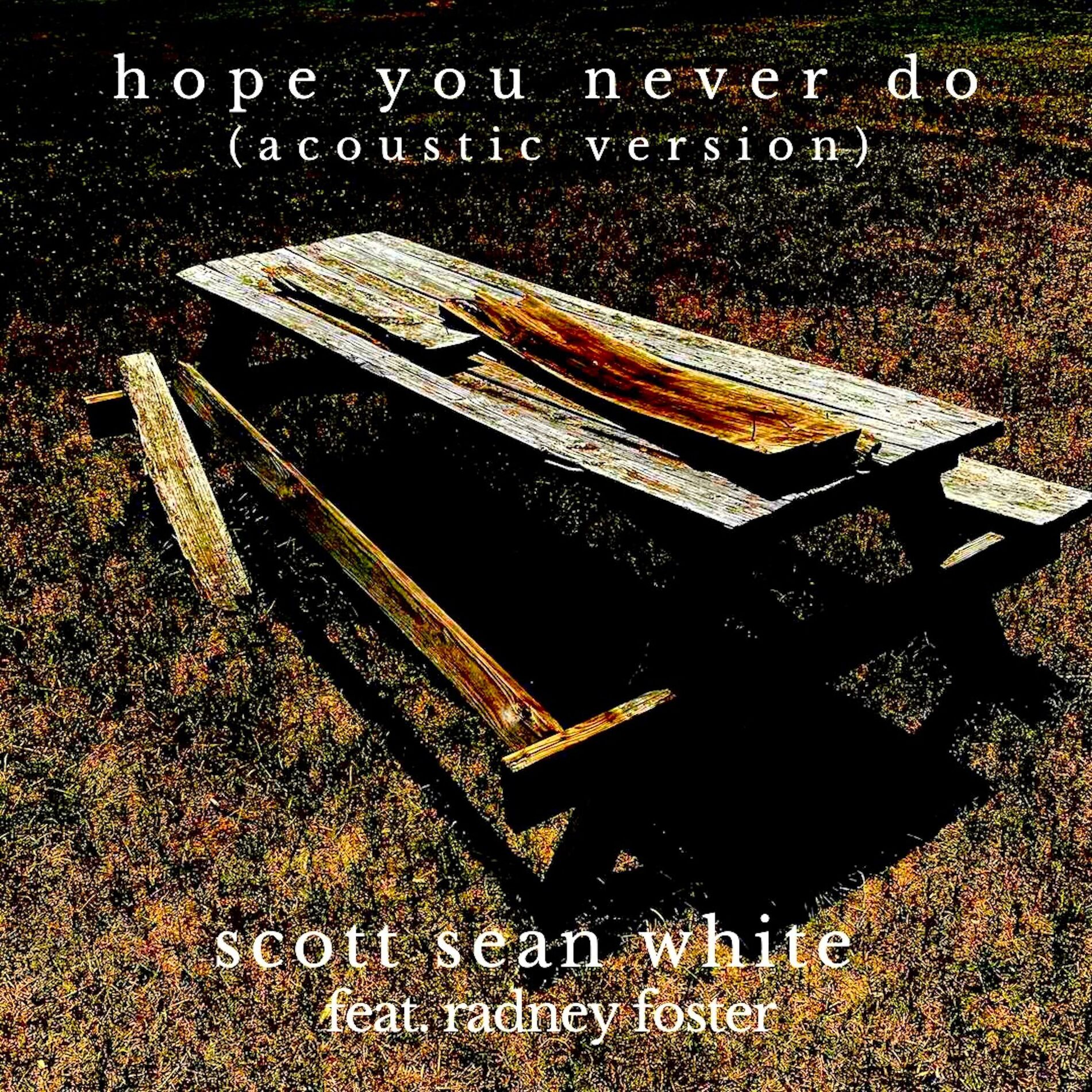 Album cover of Hope You Never Do (feat. Radney Foster) [Acoustic]
