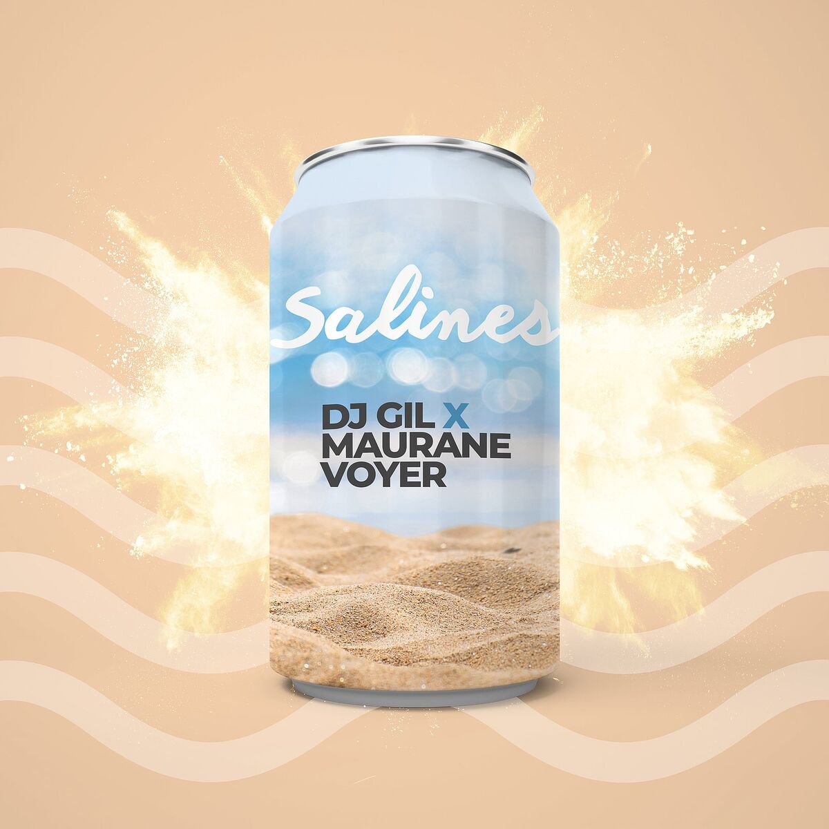 Album cover of Salines