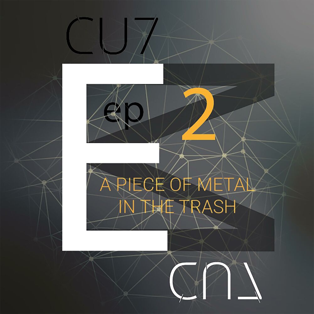 Picture of A PIECE OF METAL IN THE TRASH (ELMs 2) (EP)