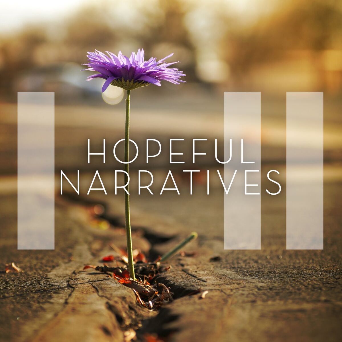 Album cover of Hopeful Narratives