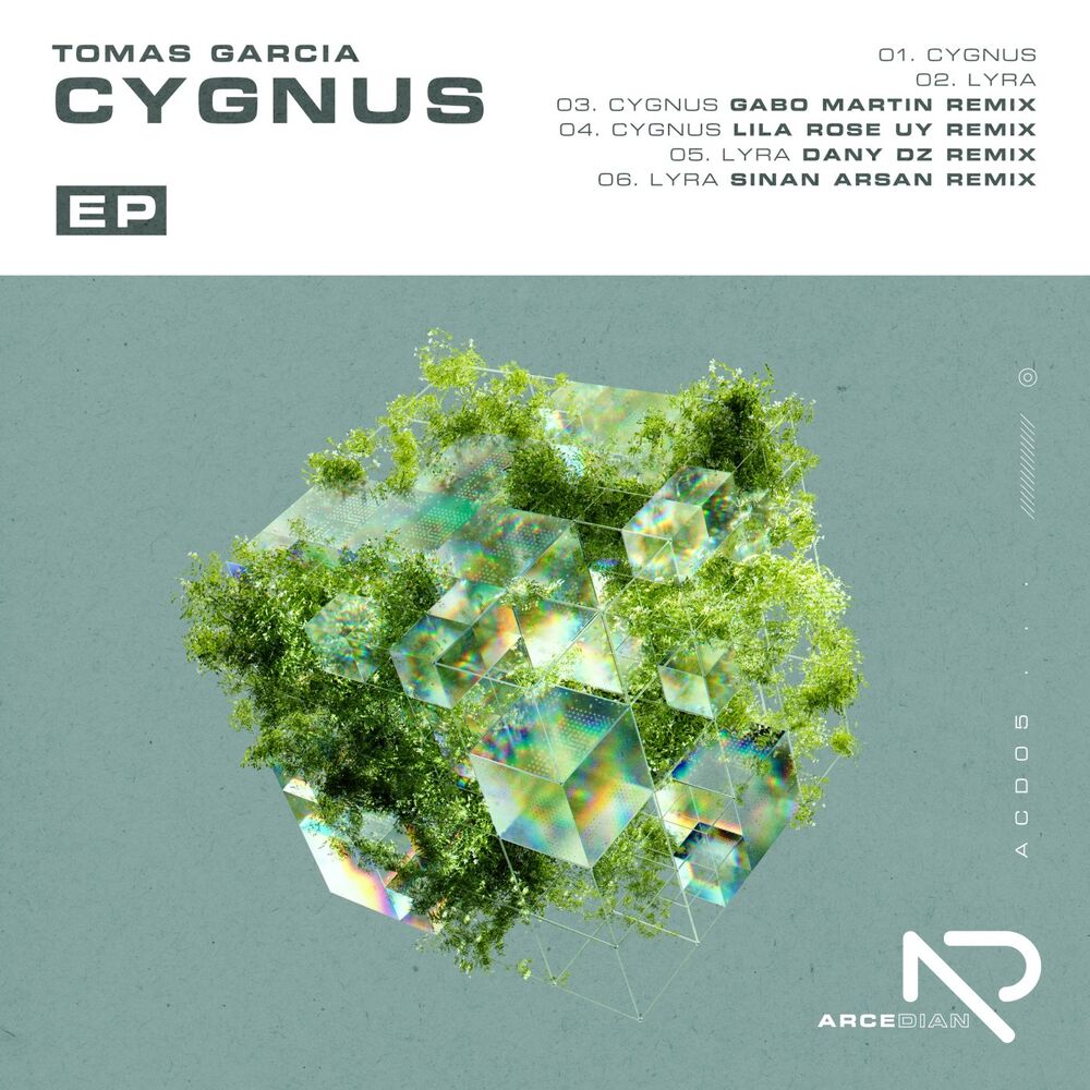Picture of Cygnus